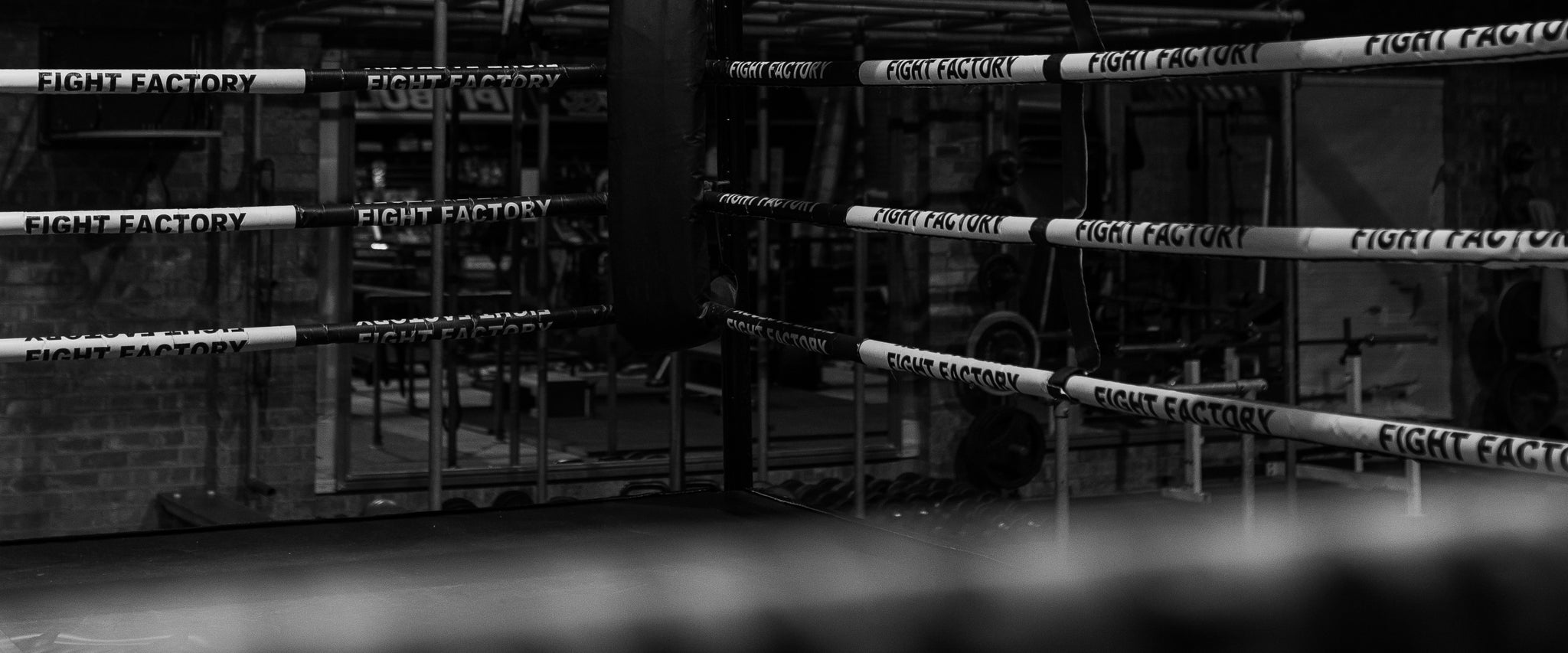 247 Fulfillment Canada 3PL FIGHTHAUS Best Fulfillment Center in Canada - Case Study; 1-4 day delivery